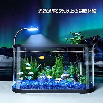 水槽セット　アクアリウム　熱帯魚 Tetra テトラ 水槽セット オールグラスアクアリウム520